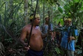 ブラジル北西部アマゾナス州マナウスの西にあるサテレマウェの居住地で、薬用植物を集める人々（2020年5月17日撮影）。(c)Ricardo OLIVEIRA / AFP