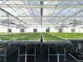 瀋陽秋実農業科技発展の「植物工場」（提供写真）。(c)Peopleʼs Daily