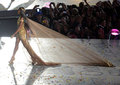 ロンドン五輪の閉会式に登場したナオミ・キャンベル（Naomi Campbell、2012年8月12日撮影）。(c)AFP/ DAMIEN MEYER