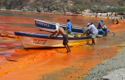 南米コロンビアでヤシ油の流出事故