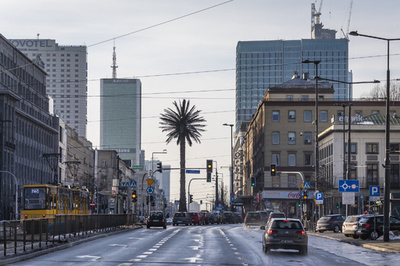 ワルシャワにヤシの木1本 「社会的エネルギーの発生装置」18歳に