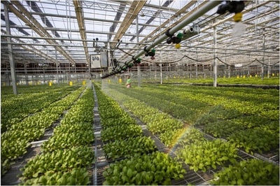 中国の「モノのインターネット」産業の発展は黄金期を迎えている