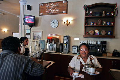 グアテマラのコーヒー、過去7年で最高の収穫高