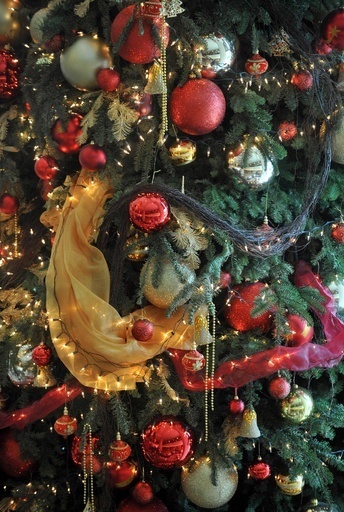 「完璧なツリー」作る方程式、英大が考案