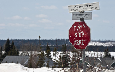 カナダ人の使用言語、公用語以外が増加