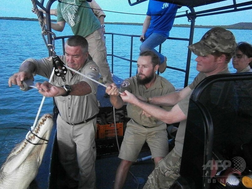 ヘンリー王子、オーストラリアでワニを捕獲