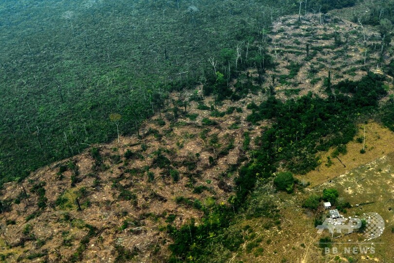 地球の気候安定化を左右するアマゾンの熱帯雨林