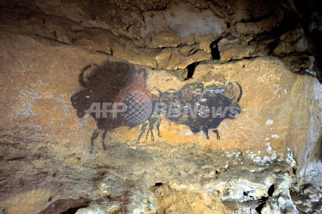 洞窟壁画の動物の動き、近代芸術より正確 研究 洞窟壁画の動物の動き、近代芸術より正確 研究