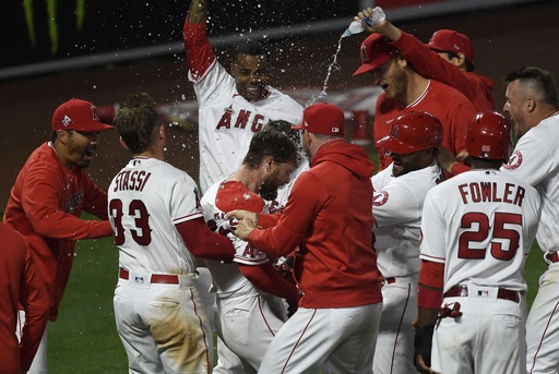 大谷翔平、MLBで初のリアル二刀流 初回に特大本塁打 写真12枚 国際