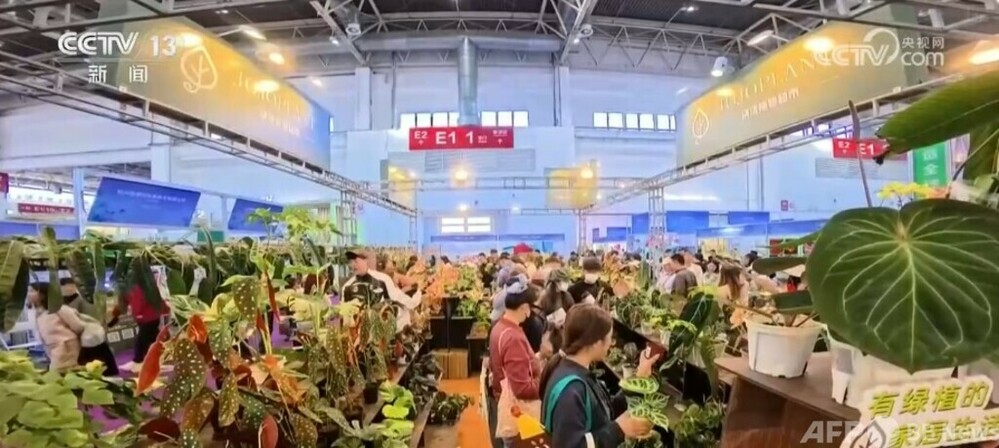 中国は世界最大の花卉生産国・消費国・貿易国
