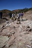 世界最大とみられる恐竜の化石が発見されたアルゼンチンのチュブト（Chubut）州ラウソン（Rawson）の発掘現場で作業中の発掘要員ら。エジディオ・フェルグリオ古生物博物館（Egidio Feruglio Paleontological Museum）提供写真（2014年5月17日提供）。(c)AFP/Museo Egidio Feruglio