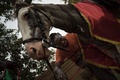 馬に馬具を装着するスマイラ・ザカリア・メジーダさん。中央アフリカの首都バンギにて（2020年1月23日撮影）。(c)FLORENT VERGNES / AFP