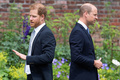 英ロンドンにあるケンジントン宮殿の庭園で、故ダイアナ元皇太子妃像の除幕式に出席したウィリアム王子（右）とヘンリー王子（敬称は当時、2021年7月1日撮影、資料写真）。(c)Dominic Lipinski / POOL / AFP