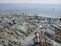 パキスタン南西部で24日に発生した大地震により同国沖に出現した島には、興味をひかれた地元住民らが次々と上陸している。

国立海洋研究所（National Institute of Oceanography）の海洋生物学者によると、島は幅300フィート（約91メートル）、長さ120フィート（約37メートル）ほど。標高は18～21メートルで、沿岸から200メートルほど離れた場所に出現。専門家らによると、強い揺れが発生した際に地中のメタンガスが土壌を噴き上げて形成される「泥火山」の可能性が高く、数か月で消滅する可能性もあるという（2013年9月25日撮影）。(c)AFP/Behram BALOCH