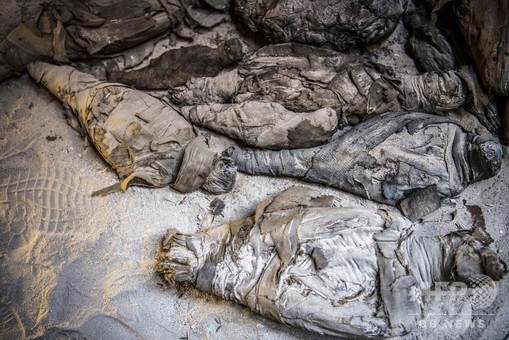 エジプトでハヤブサ、ネズミのミイラ50体発見、観光客にPR 写真13枚