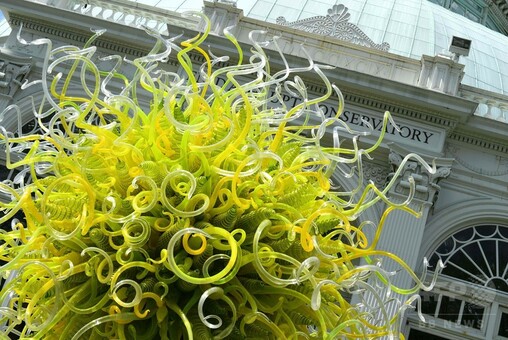 植物園を彩るガラスの彫刻、チフーリ氏展覧会 米NY 写真21枚 国際 