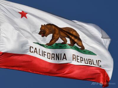 犬でも投票できる米カリフォルニア州選挙、実践した女を起訴