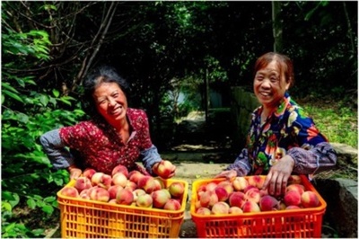 水蜜桃の甘い旅路