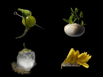 諏訪綾子が手がける3日限りのアートな「ゲリラレストラン」