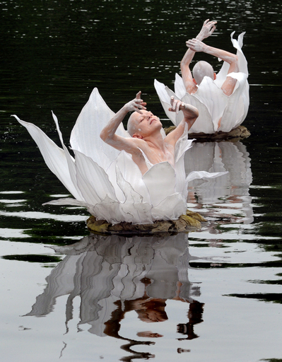 池に浮かぶスイレンの舞踏劇、ドイツ・ドレスデン