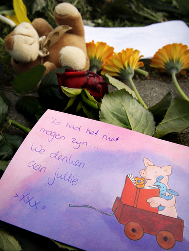 王室パレードに突っ込んだ車の男、病院で死亡 オランダ