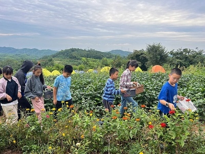 中国長江デルタ地域鉄道 春休みと清明節期間の輸送が旅客2800万人見込み