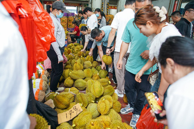 「果物の王様」ドリアンが安値に 中国