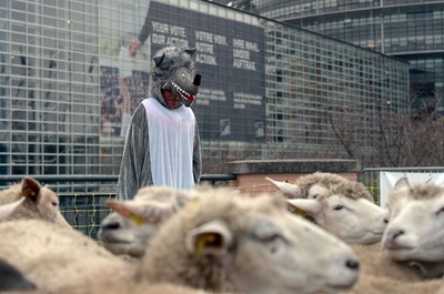 欧州議会前にヒツジの群れ出現、その訳は…