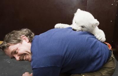 ねえ遊ぼうよ! ホッキョクグマのフロッケはいたずらっ子