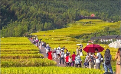 美しく、高収穫の「才色兼備」 先人の知恵受け継ぐ棚田 中国・江西