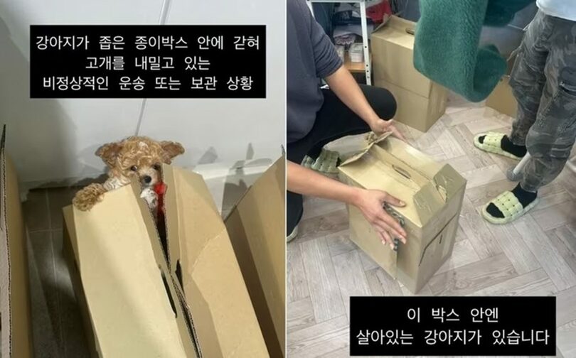 投稿者提供(c)news1