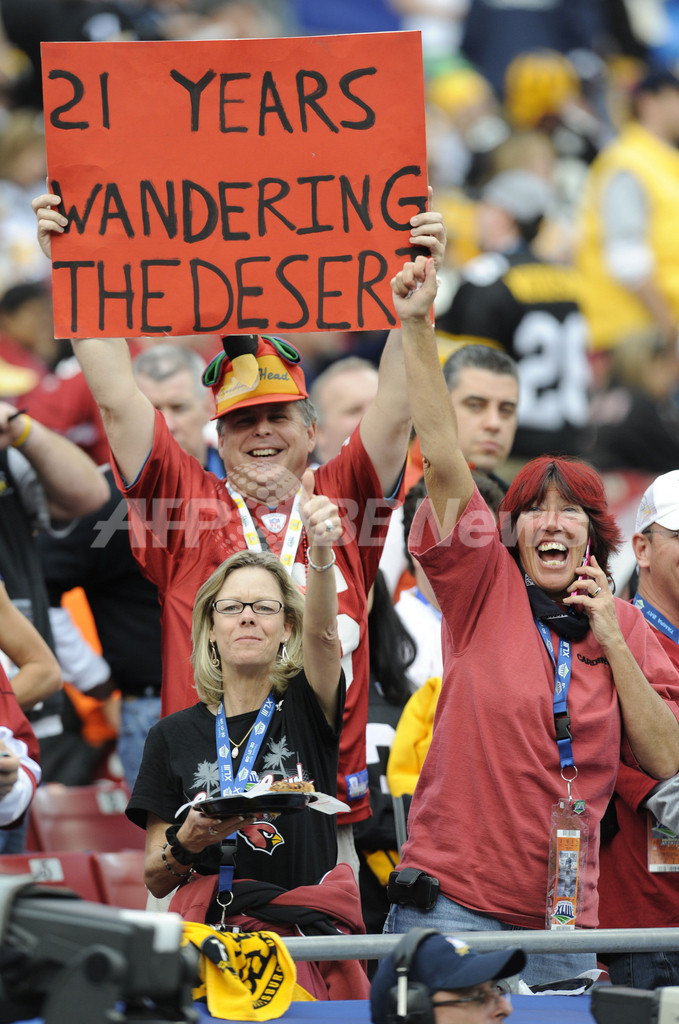 観戦を楽しむファン、NFL第43回スーパーボウル