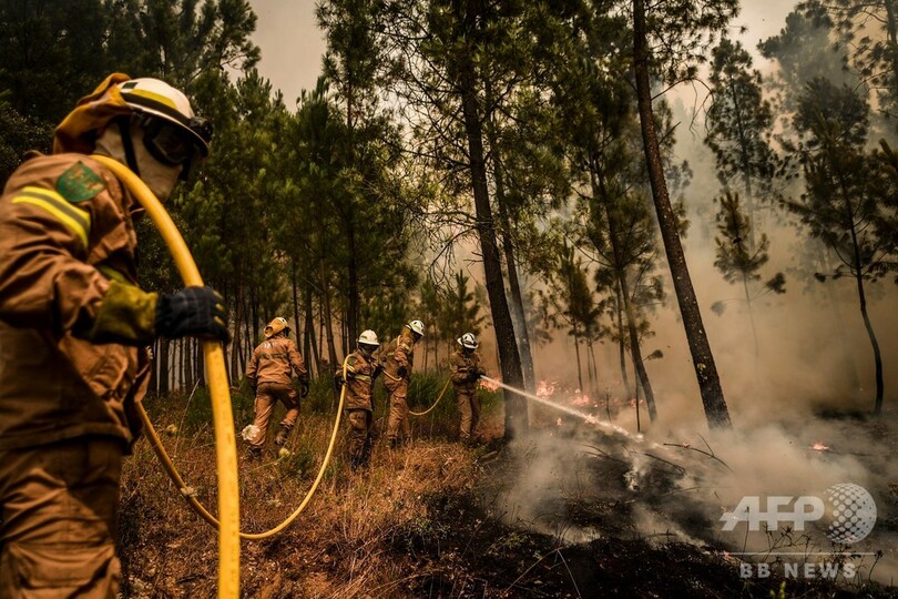 ポルトガル山火事 風にあおられ火の勢い増す 写真25枚 国際ニュース Afpbb News