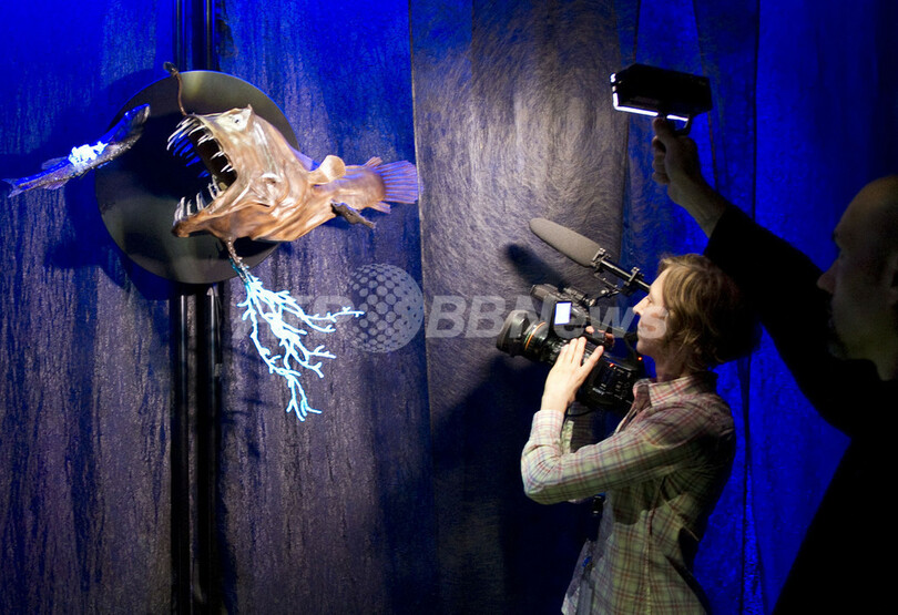 「光の生き物たち」展、米自然史博物館で開催