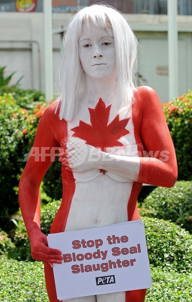カナダ野党議員 パイ投げたpetaをテロ組織指定するよう要請 写真1枚 国際ニュース Afpbb News