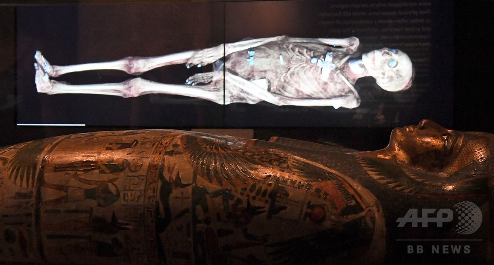 古代エジプトのミイラの内部、最新技術で初めてあらわに 写真7枚 国際ニュース:AFPBB News 古代エジプトのミイラの内部、最新技術で初めてあらわに 写真7枚 国際ニュース:AFPBB News