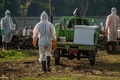 インドネシア・東ジャワ州スラバヤの墓地で、新型コロナウイルス感染症で死亡した人のひつぎを運ぶ人々（2021年7月9日撮影）。(c)JUNI KRISWANTO / AFP