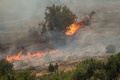 チリのジコで、山火事の炎を見つめる男性（2017年1月26日撮影）。(c)AFP/MARTIN BERNETTI