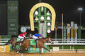 競馬のサウジカップで優勝したマキシマムセキュリティ（2020年2月29日撮影）。(c)FAYEZ NURELDINE / AFP