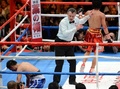 ボクシング、WBC世界バンタム級タイトルマッチ12回戦。12回に試合を止め、山中慎介（Shinsuke Yamanaka、右）とマルコム・ツニャカオ（Malcolm Tunacao、左）の間に入る審判（2013年4月8日撮影）。(c)AFP/TOSHIFUMI KITAMURA