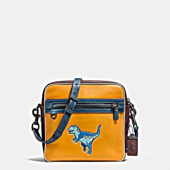 正規取扱サイト Coach 宇宙テーマ リュック 【公式通販】