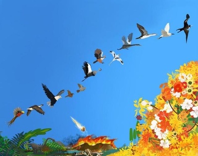 「鳥類の起源は恐竜時代」 中国の専門家ら研究発表