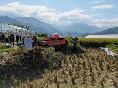 中国3代目ハイブリッド米 10アール当たり収穫量が新記録の1629キロ