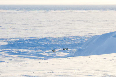 北極圏の氷融解で五つの新たな島出現 ロシア