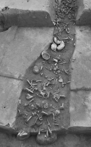 独遺跡で大量の人骨を発見、先史時代に「食人習慣」存在か