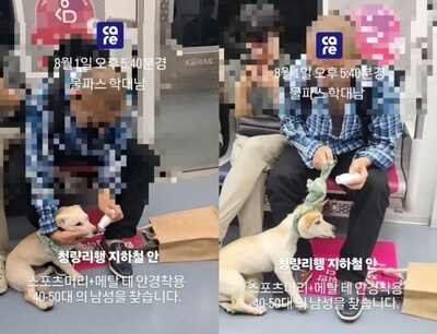 犬にメンターム？首にビニール…ソウル地下鉄で目撃された“虐待”疑惑の男