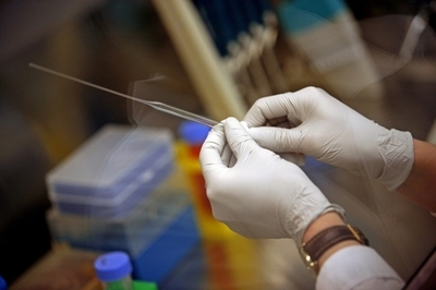 「幹細胞バンクは詐欺」、幹細胞研究の第一人者が警告