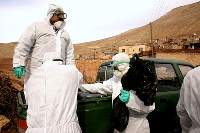 ＜鳥インフルエンザ＞H5N1陽性、子どもの感染検査へ - トルコ