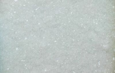 【京都 蔦屋書店】田中嵐の個展「Mimesis」を1月10日（土）より開催。「結晶化」というプロセスを通じて、⽣命が刻んだ記憶と時間を再構築する。