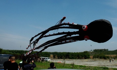 中国の瀋陽でたこ揚げ大会、全長100メートルの作品も
